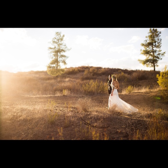 Meet your Posher, Ginger - Picture 1 of 1